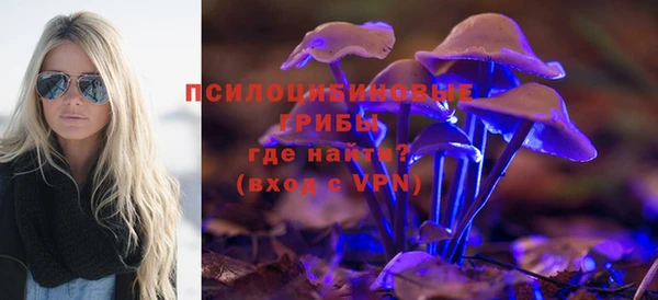 стафф Аркадак