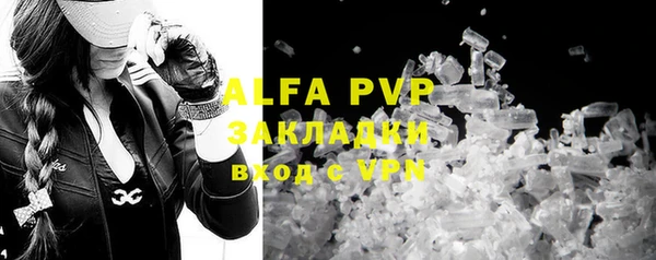 стафф Аркадак
