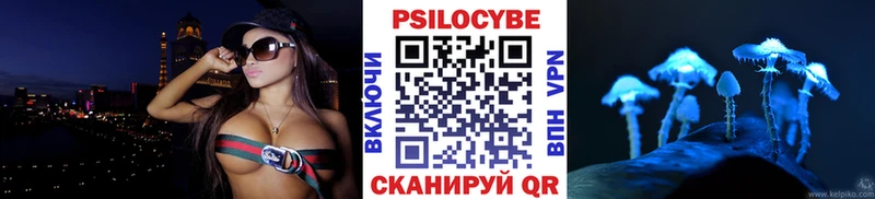 гидра ссылки  Белово  Псилоцибиновые грибы Psilocybe 