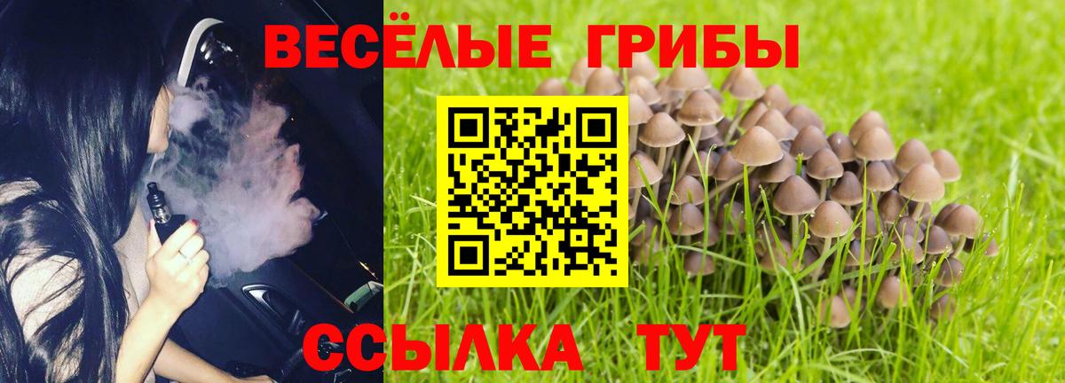Галлюциногенные грибы прущие грибы  Вход с VPN  Псилоцибиновые грибы мухоморы  Белово 