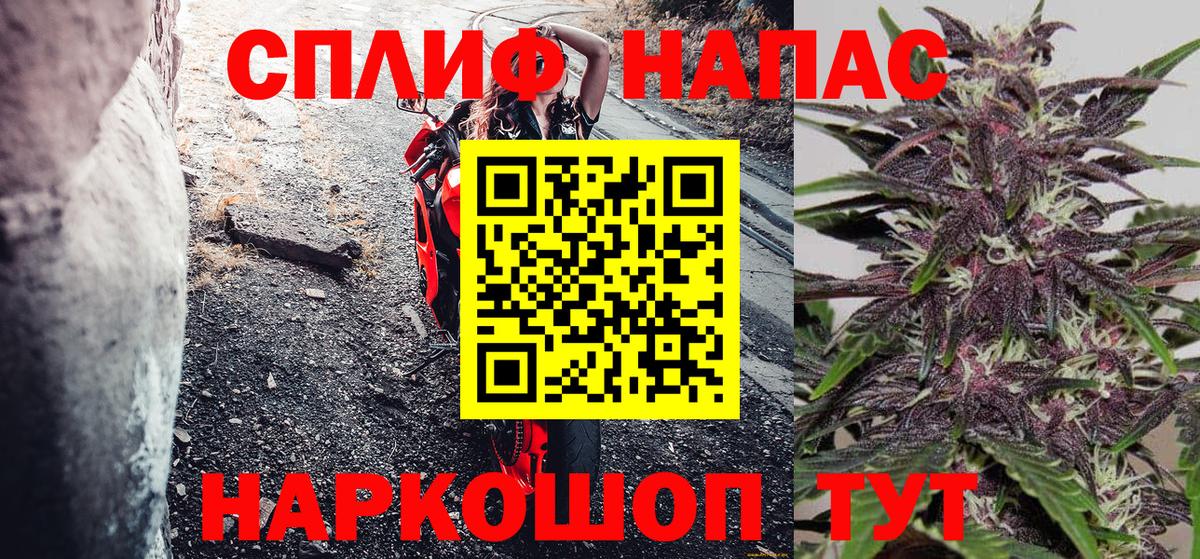 Канабис OG Kush  Конопля ГИДРОПОН  Вход с VPN  Белово  Канабис семена 